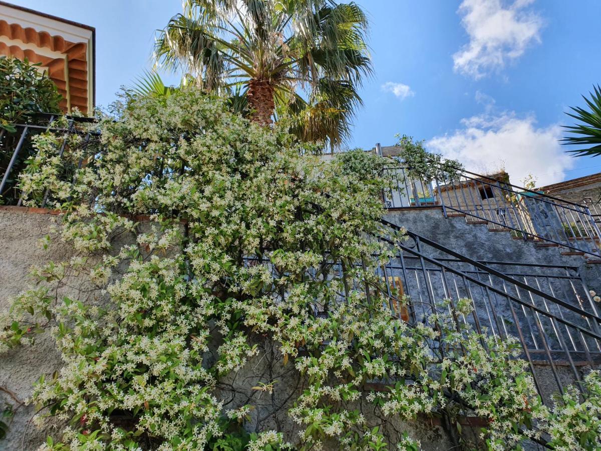 Borgo San Francesco Hotel Gioiosa Marea Bagian luar foto