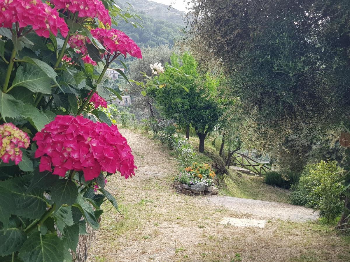 Borgo San Francesco Hotel Gioiosa Marea Bagian luar foto