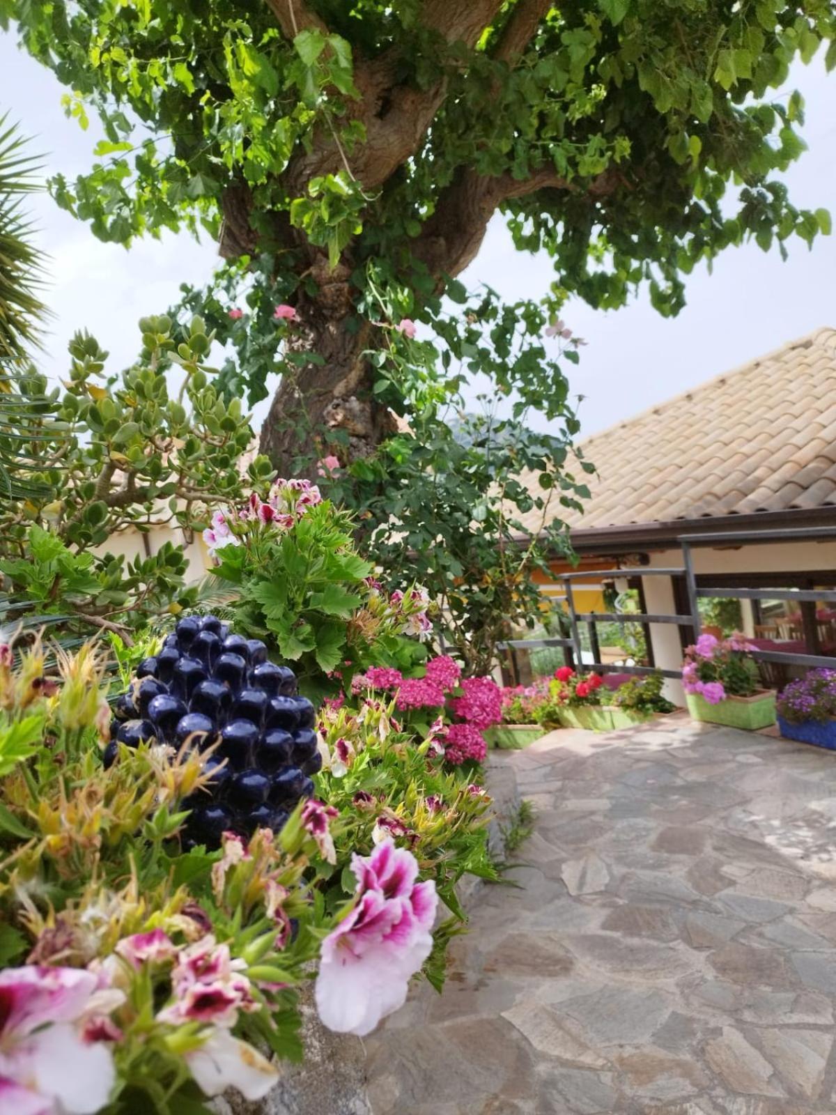 Borgo San Francesco Hotel Gioiosa Marea Bagian luar foto
